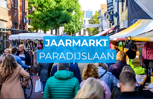 Paradijslaan – Kinder Zweefmolen & Tropical Kayak VR